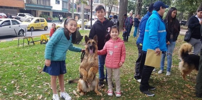 Jornada de protección y bienestar animal en Teusaquillo