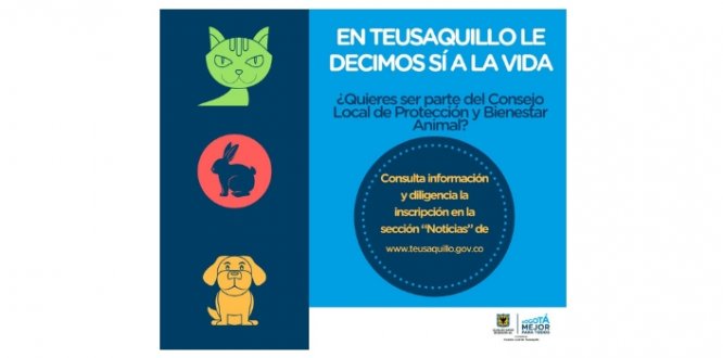 Protección Animal Protección Animal