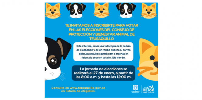 Elecciones Elecciones